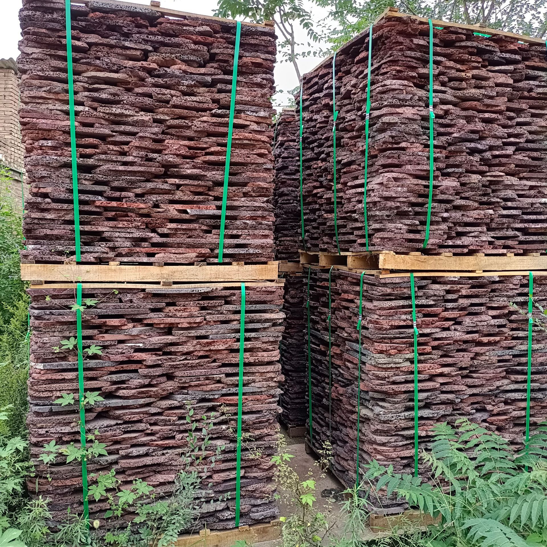 6513d686b06e2ee27cecf9e794140d