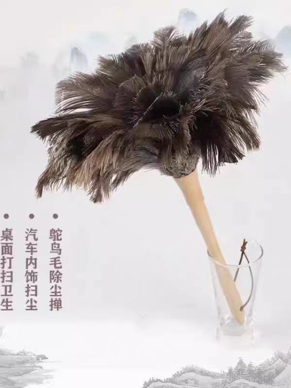 微信图片_202510281557261