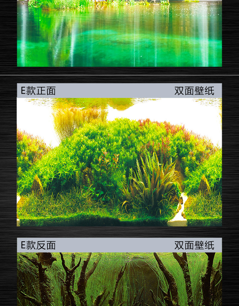 鱼缸壁画_新详情_09