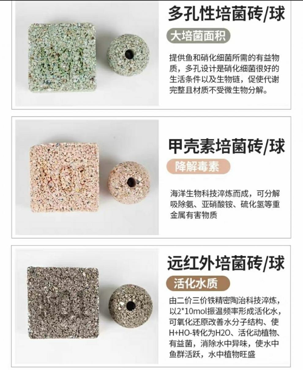 6433d314-17bb-40b6-a050-14a2394933e0.jpe