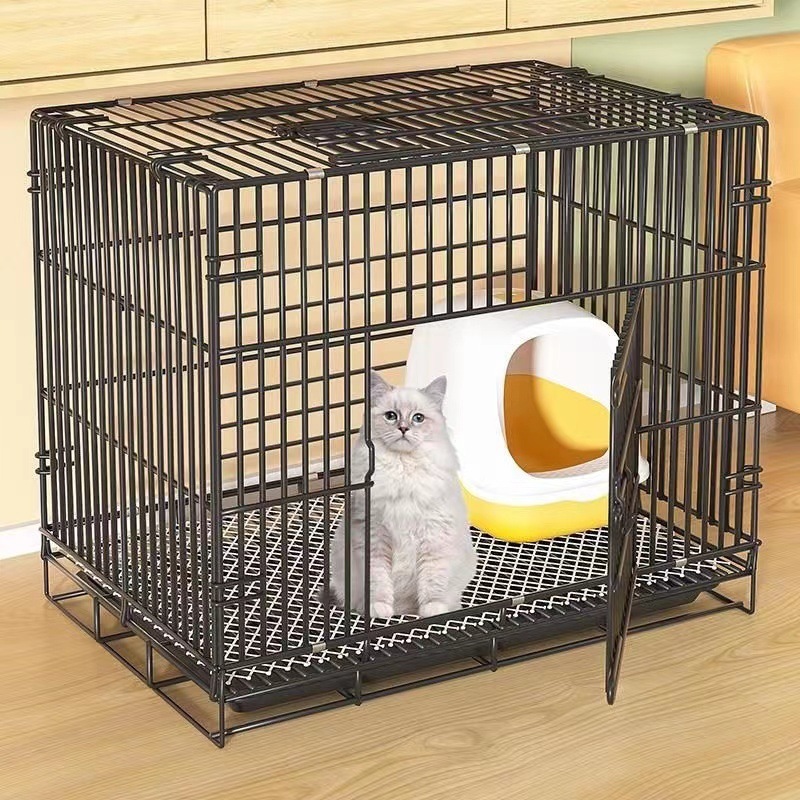 d7b4b663-8e5c-4a14-a5bf-0c6fdb392176.jpe