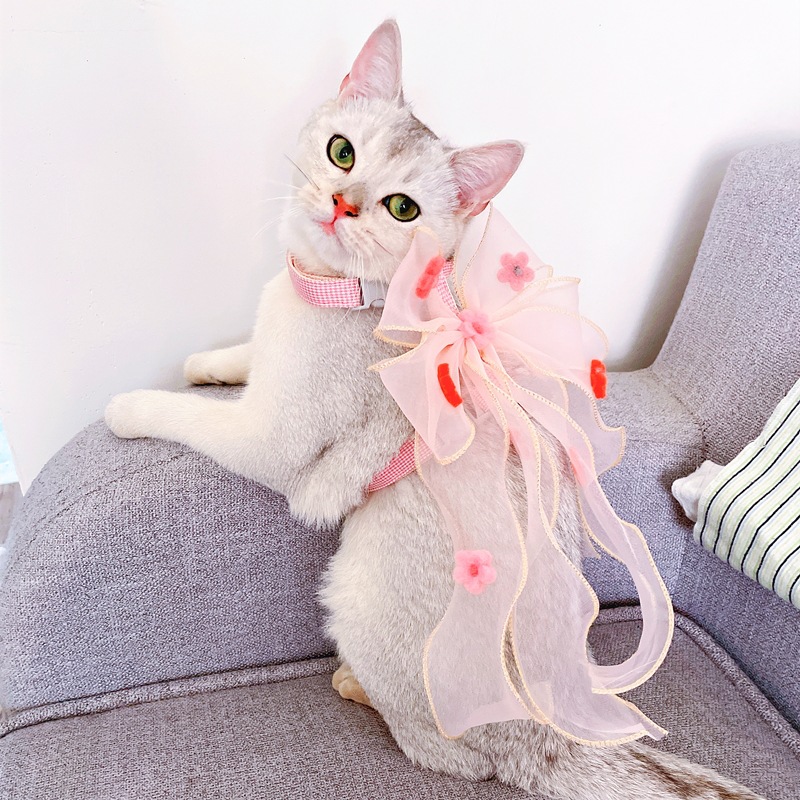 IMG_2458(20210902-073248)_副本