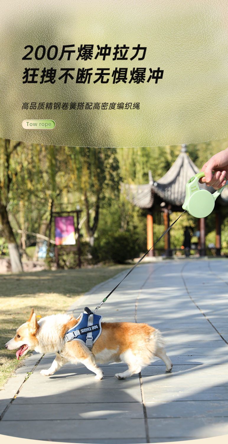 6724ba0d-713f-40b6-84ce-c9f084d30cf1.jpe