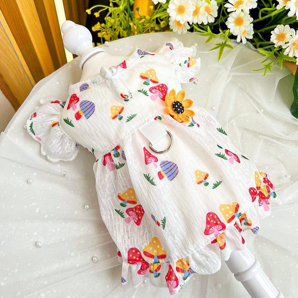 09da23a4-6c7c-4dc2-bf5a-22ec7bf72554.jpe