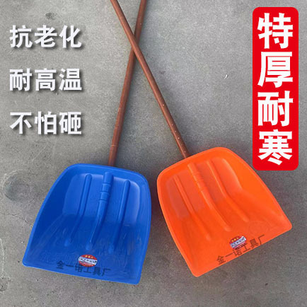 金一诺主图