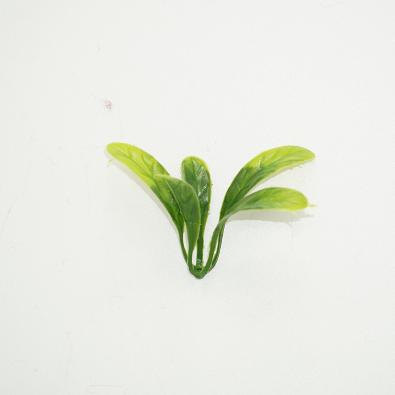 菜葵叶0.91g,0.04元