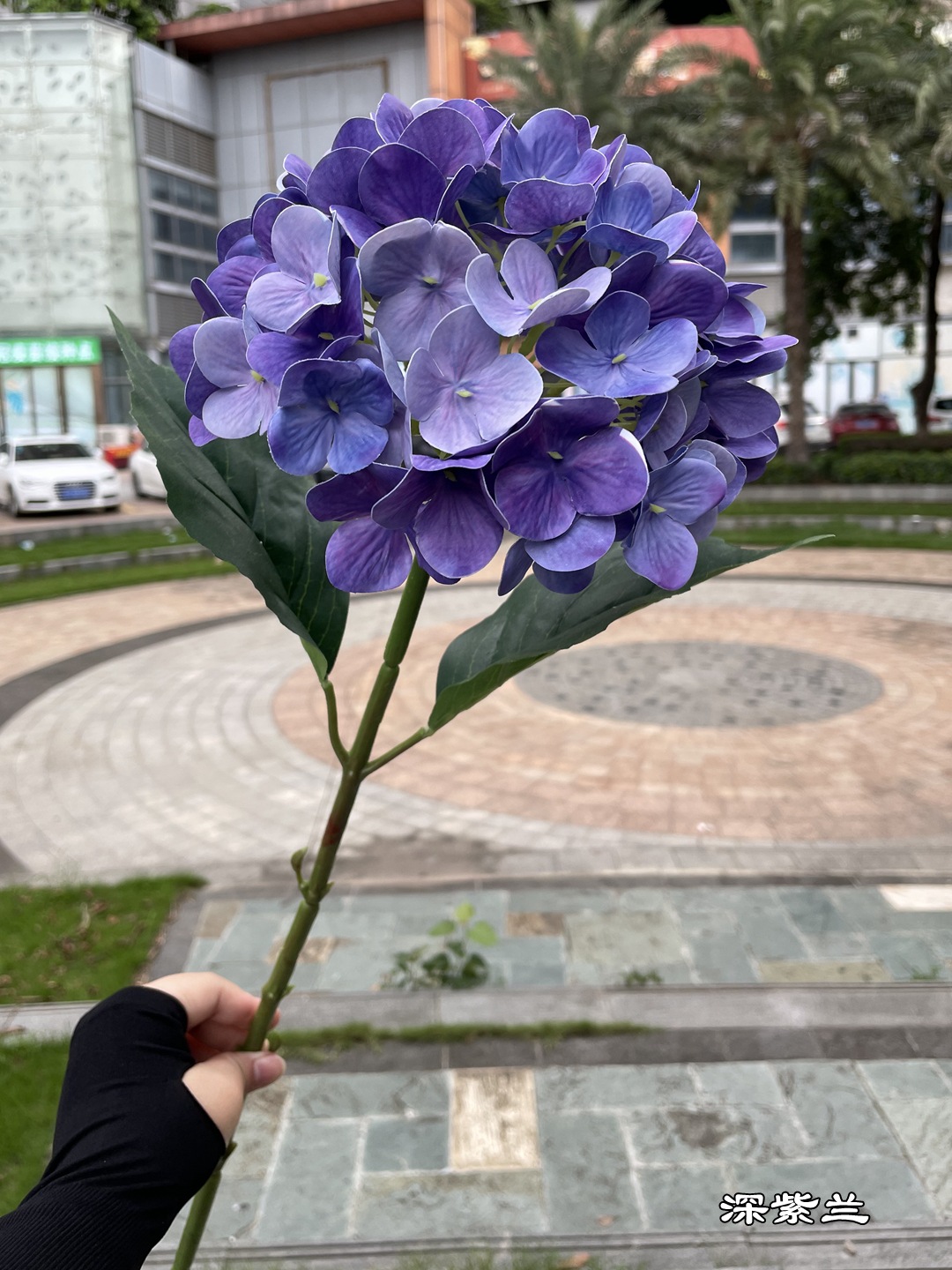 微信图片_20210815180855