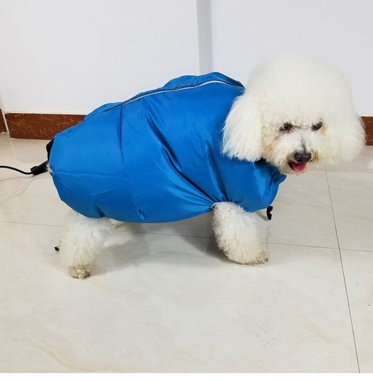 6ba883c2-bf14-4f1c-aa18-78060d1fee51.jpe