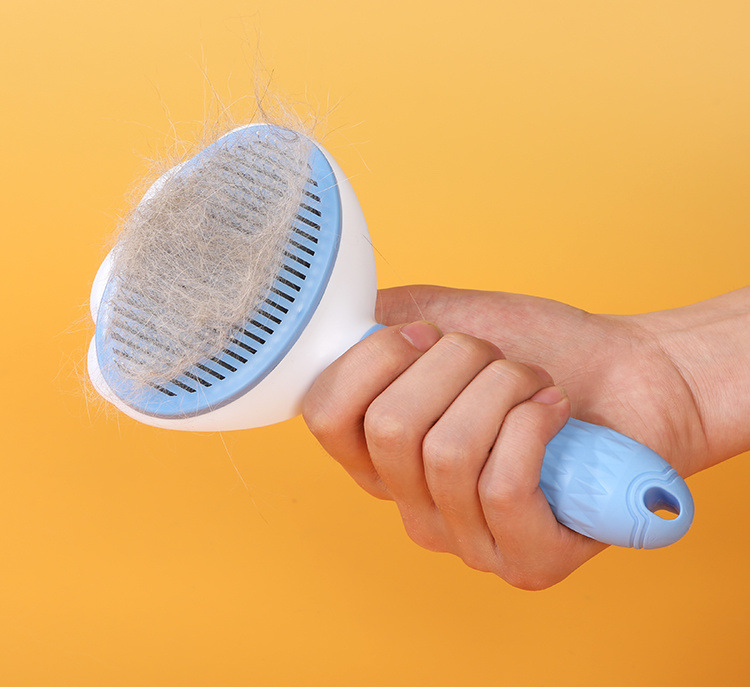 1707ef07-5227-49a7-abbf-02c42fe8537e.jpe