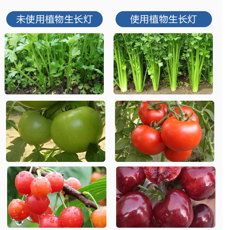 8625fc46-486d-4e4f-8b3b-f1310794f922.jpe