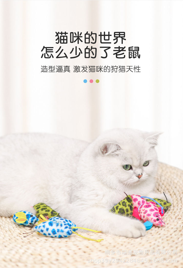详情_03.jpg
