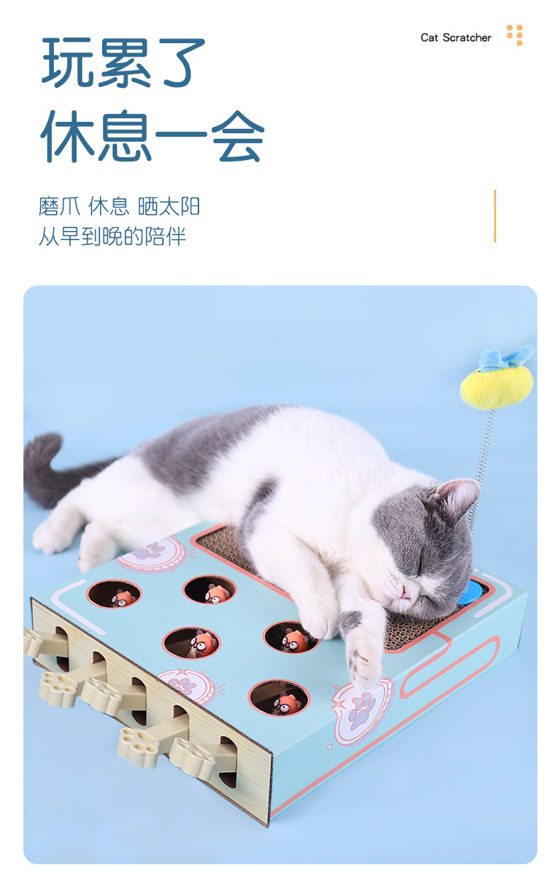 喵仙儿_07.jpg