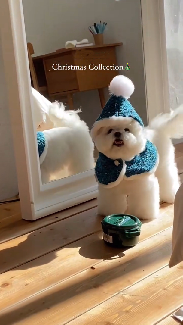 990DB272F6D1D4898D8A69F8BEAAD5