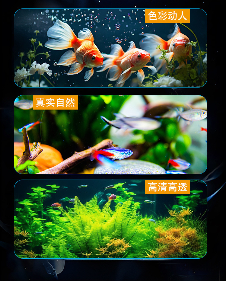 ab418106-b3a6-421a-8cae-81ff84ad2b79.jpe