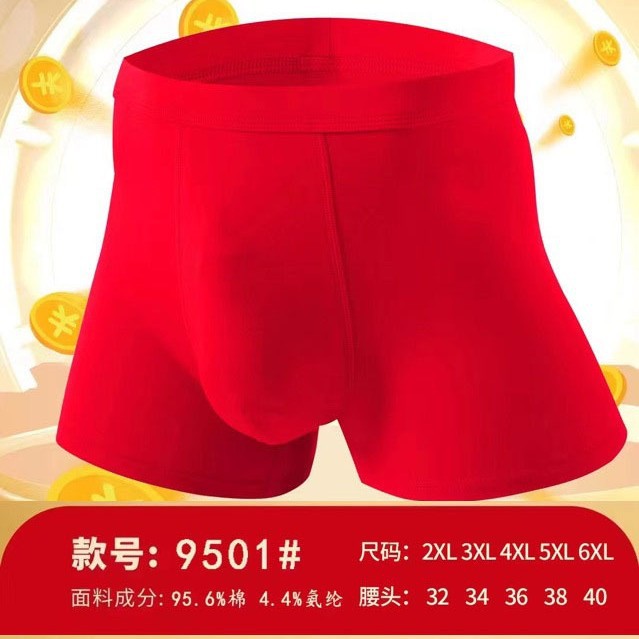 2024-12-29 22:19:32.jpg