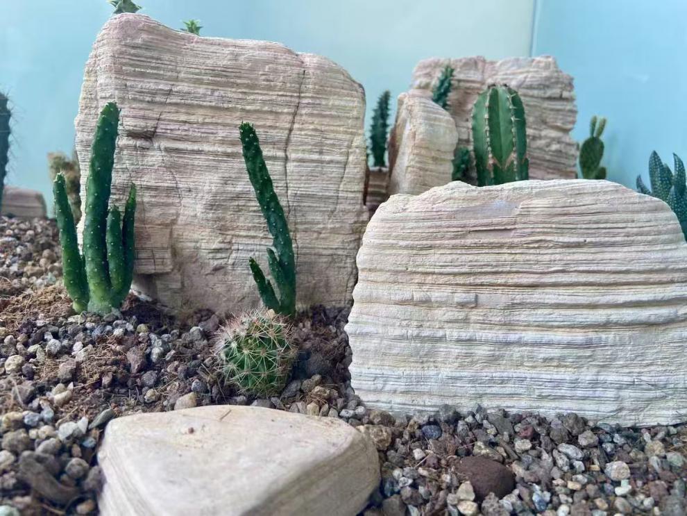 82b882f4-76d2-4283-aa27-2de500460f7d.jpe