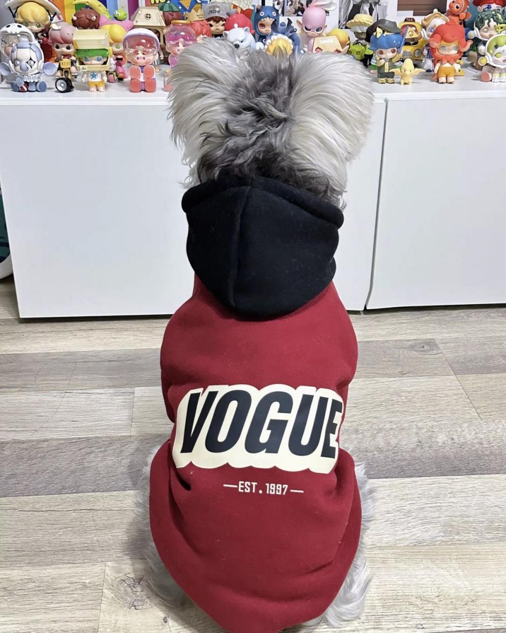 0ed7605a-f933-4e5d-81fe-639d957a38fe.jpe