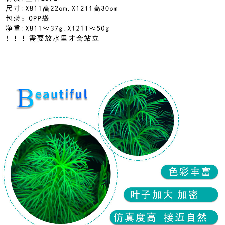 详情_02.jpg