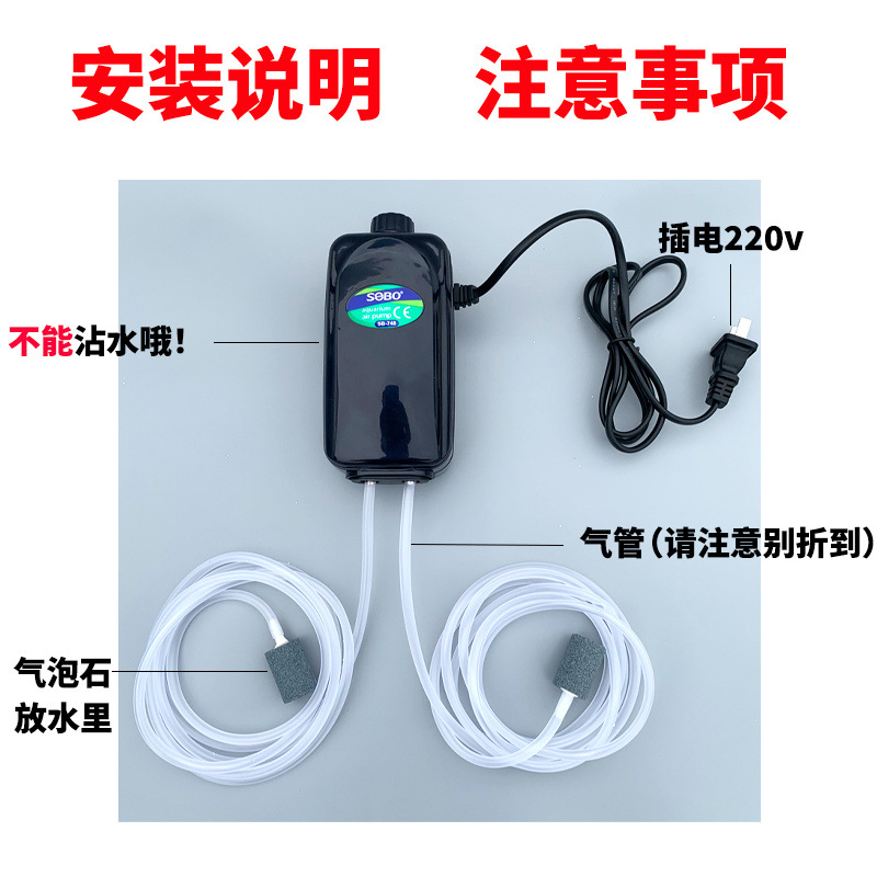 e79a9ce8-91b9-41df-ae9c-2d37aa64c9fe.jpe