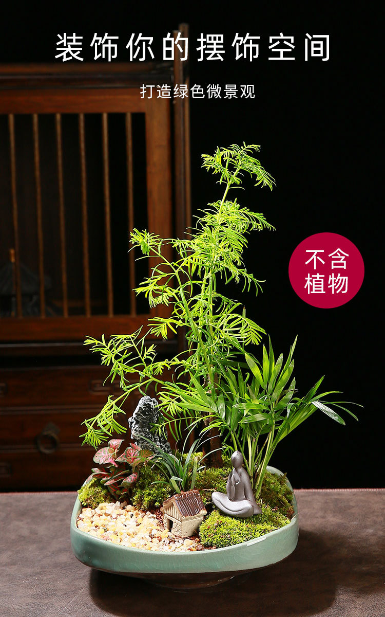 花盆_02