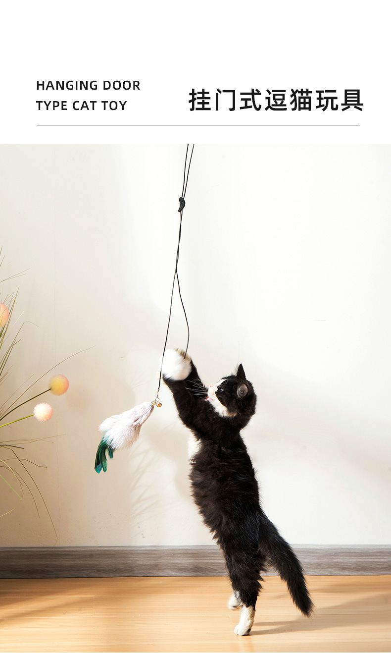 挂门式逗猫棒_01.jpg