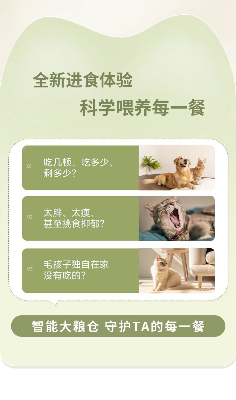 ff55ad3e-0d5a-40c6-b4b6-285e1d6ec3db.jpe