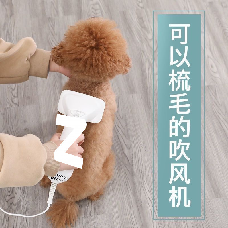 ce6501ff-7ec5-4d46-83c9-2cf49050a456.jpe