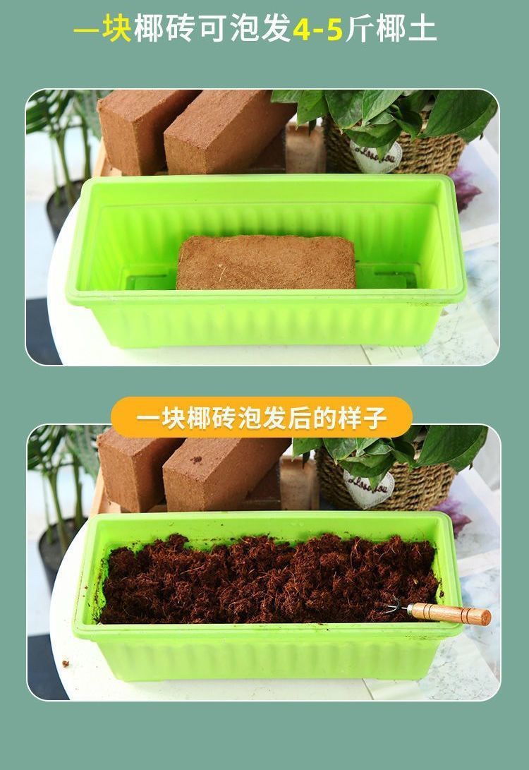 dd3d381e-4301-4e8e-8b68-149f6ccb7496.jpe