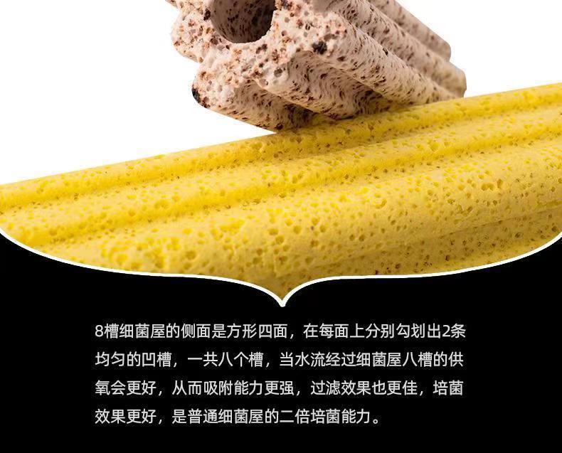 11e91457-bd06-42ff-81d8-c80a7d7c29af.jpe