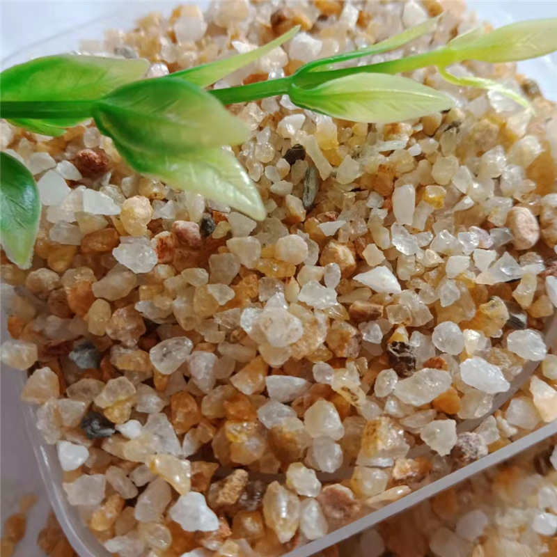 mmexport1634114263051