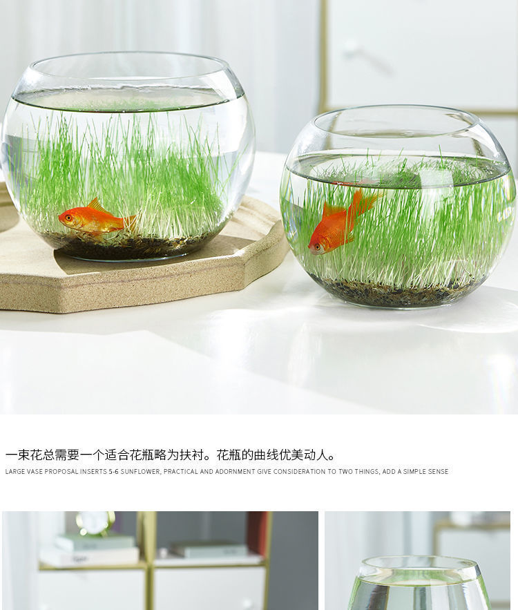 /O1CN01dAIrCN1ZOmVJUUDMt_!!2218948853185-0-cib.jpg?x-oss-process=image/format,png