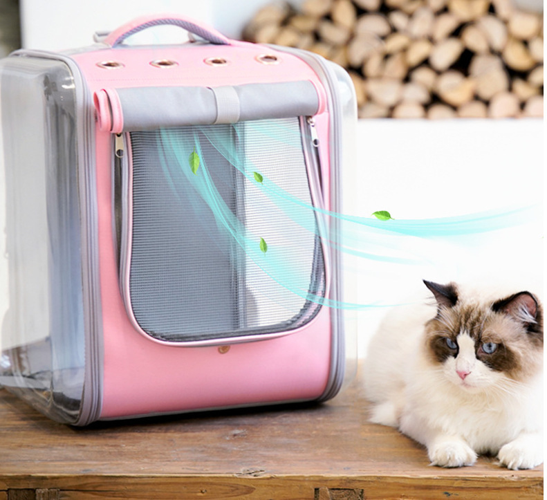 O1CN017w1b5j1ikbeBvE5OE_!!3295