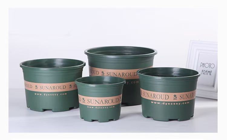 3e51f289-8bcc-4b47-bfda-c6a55b78004c.jpe