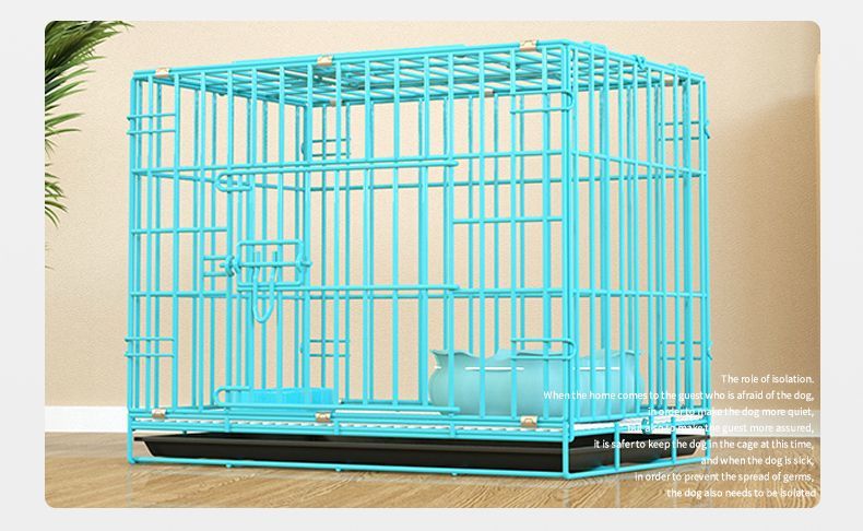 2f8dc3d2-ad99-40d7-aacd-f16d3127f3e7.jpe