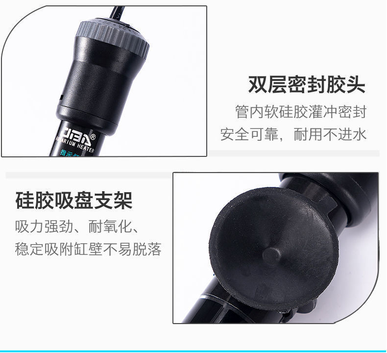 308e9ced-f5e6-4ac8-9b29-e91f9de1146d.jpe