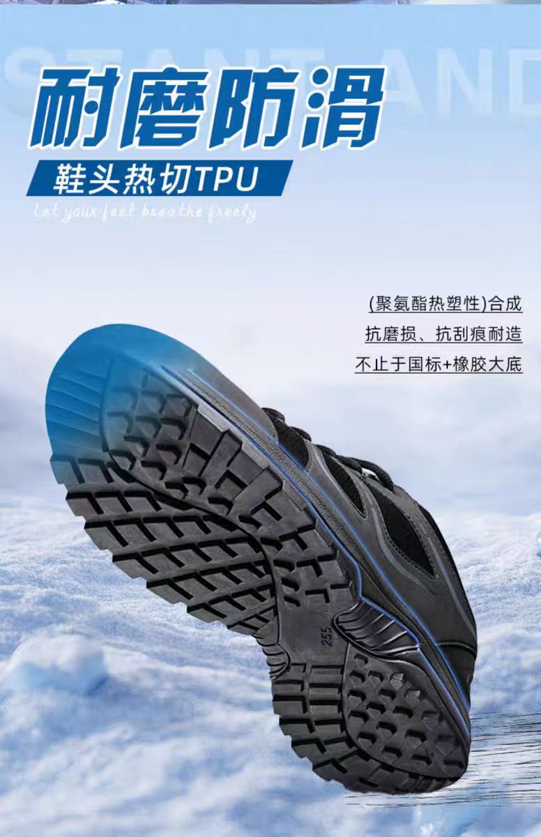 微信图片_20240811095438