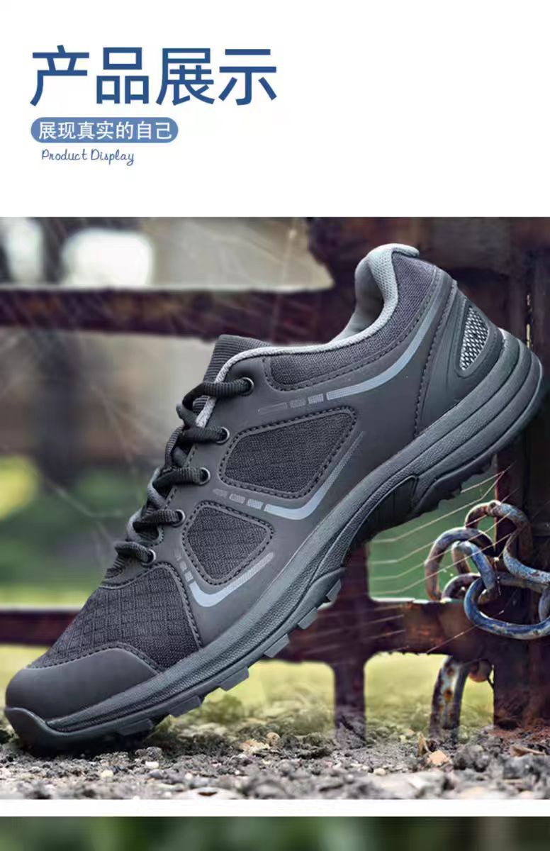 微信图片_20240811095616