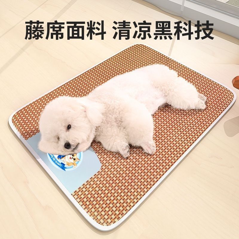 be031fa9-1313-46b5-8471-aef2c159bd3b.jpe