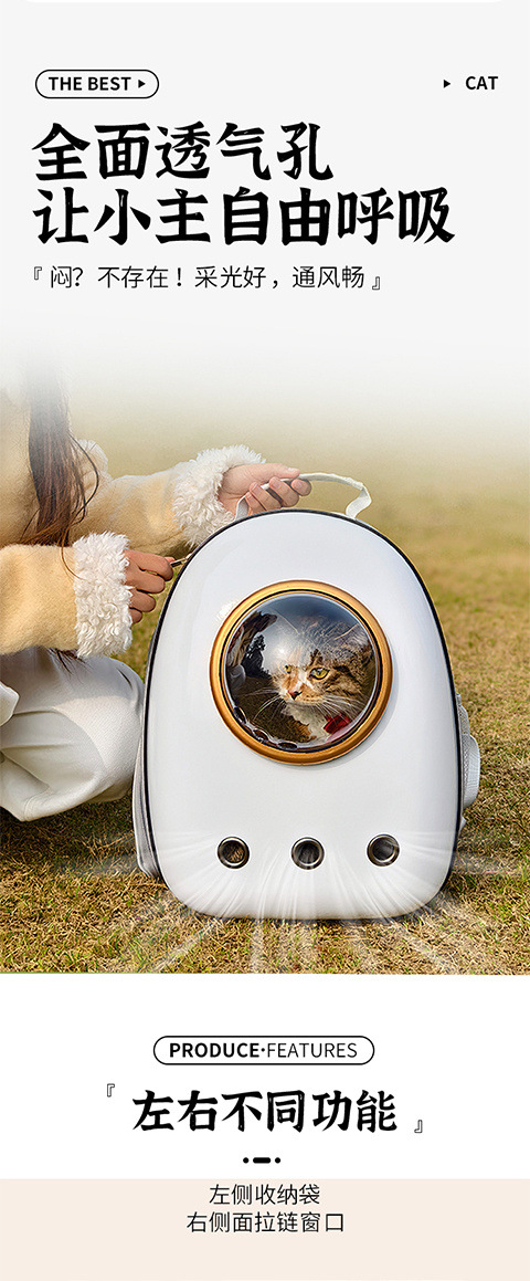 9614aeb5-3764-4f39-a6b4-acdaa4cd85ae.jpe