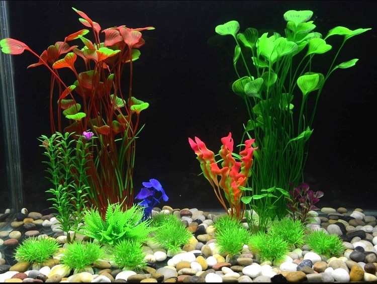 O1CN01C0dCFG1KVu67LQFGH_!!1035