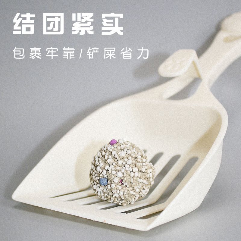 O1CN01xTJdhO29XmGmcPFsc_!!2215740568078-