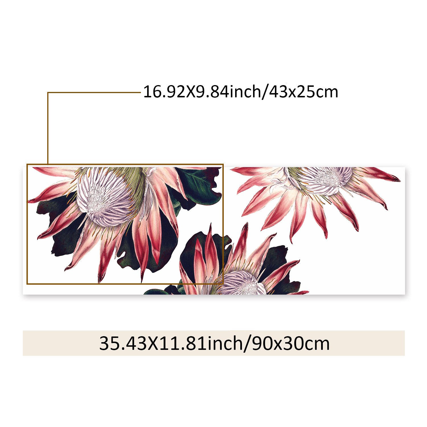 SE100-30X90CM尺寸图