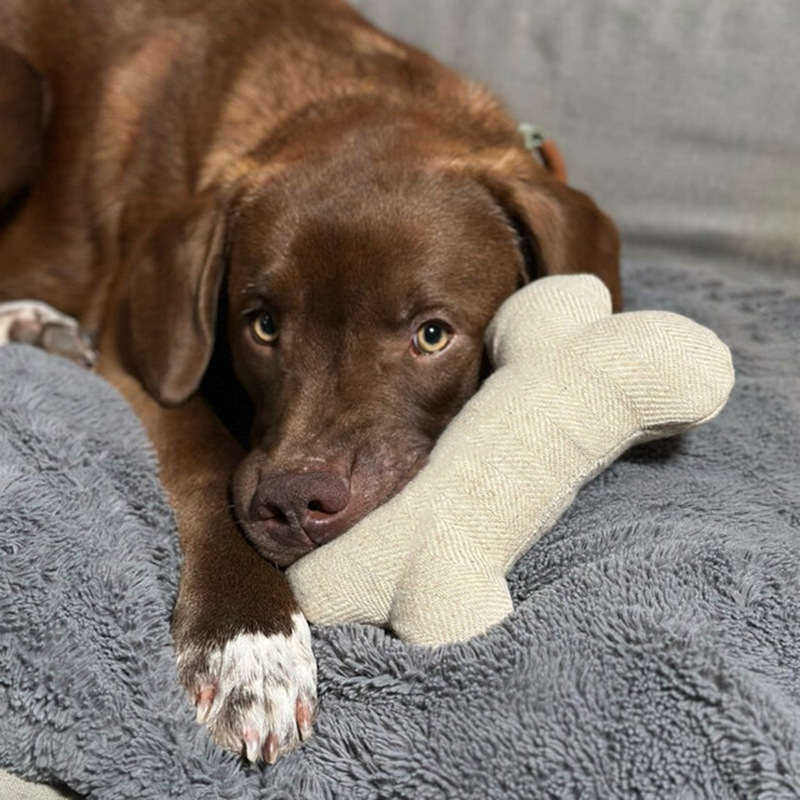 7d2e7a3f-10db-4778-b0ce-4f1fd8