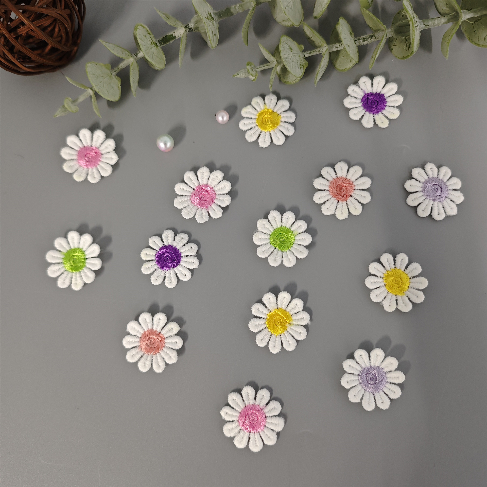 小雏菊花个