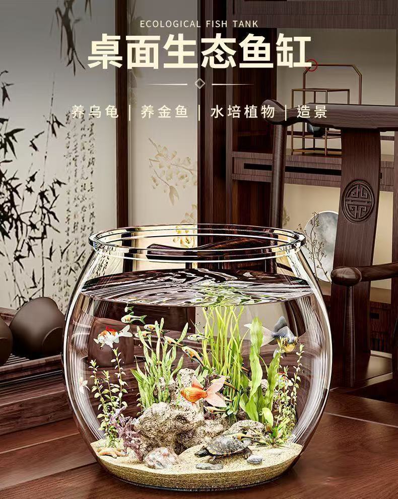 ae5bbe3a-c72c-4c12-9d76-4d35b3bff48c.jpe