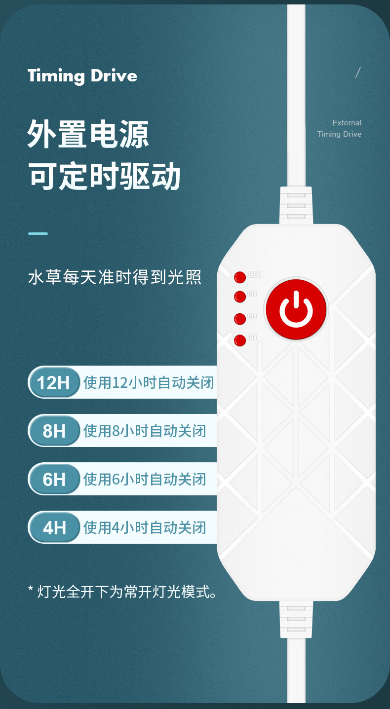 双叶水草_11.jpg