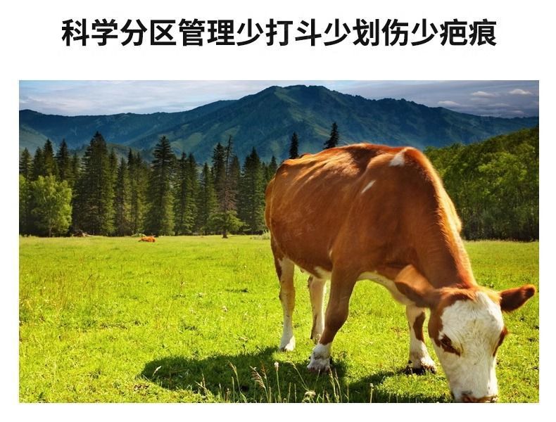 76e1546b-52ca-4bca-9ba1-d6c392000a47.jpe