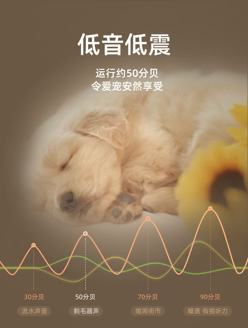 描述图_9.jpg