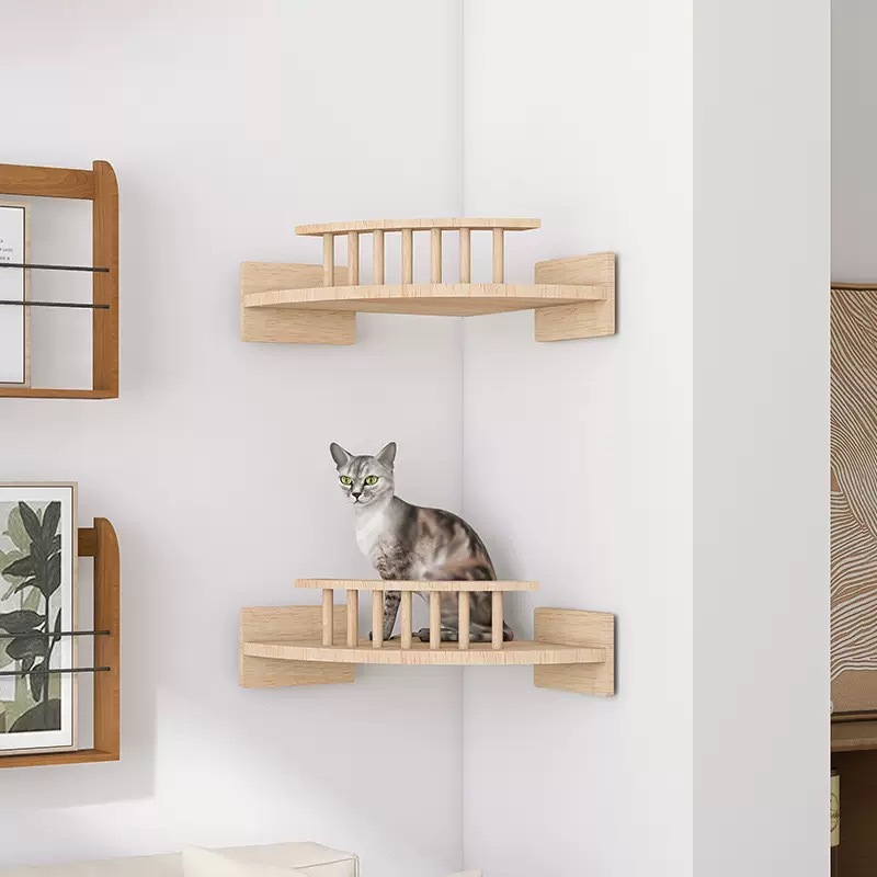 微信图片_20250618173723