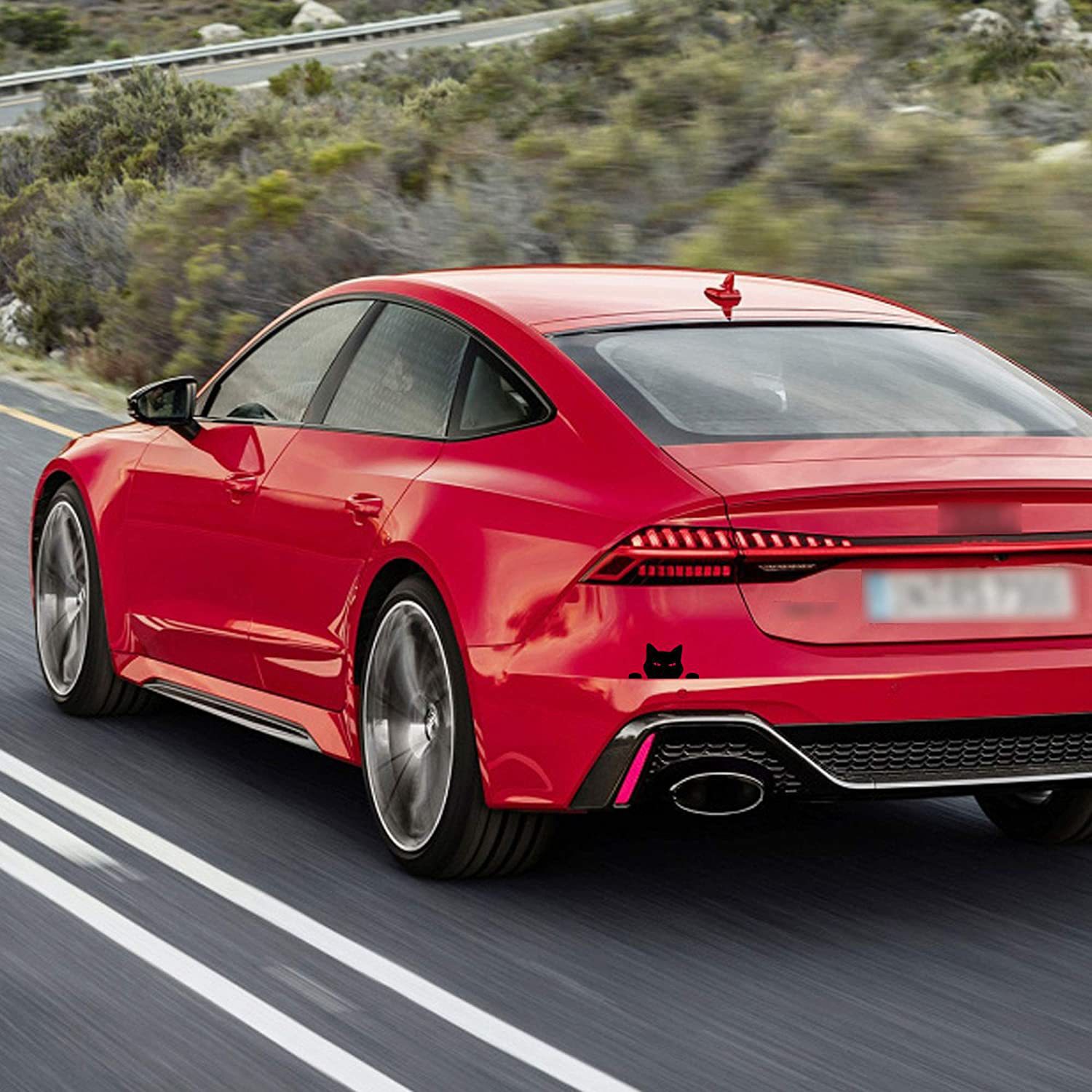 81USyuoLTxL._AC_SL1500_